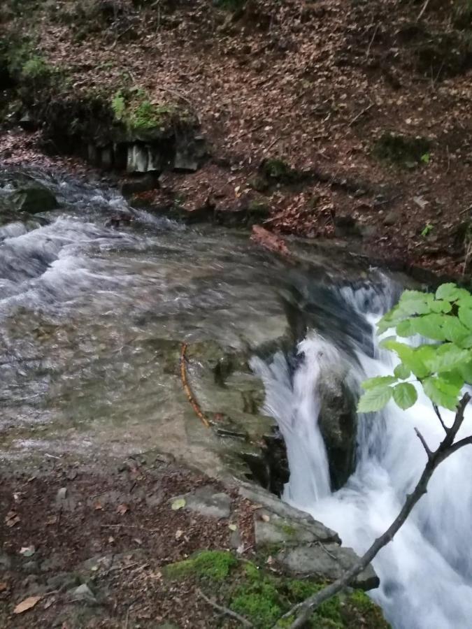 Chalpa Na Skarpie Vila Meszna Exterior foto