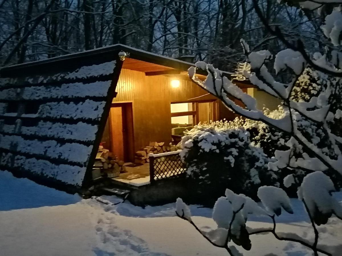 Chalpa Na Skarpie Vila Meszna Exterior foto